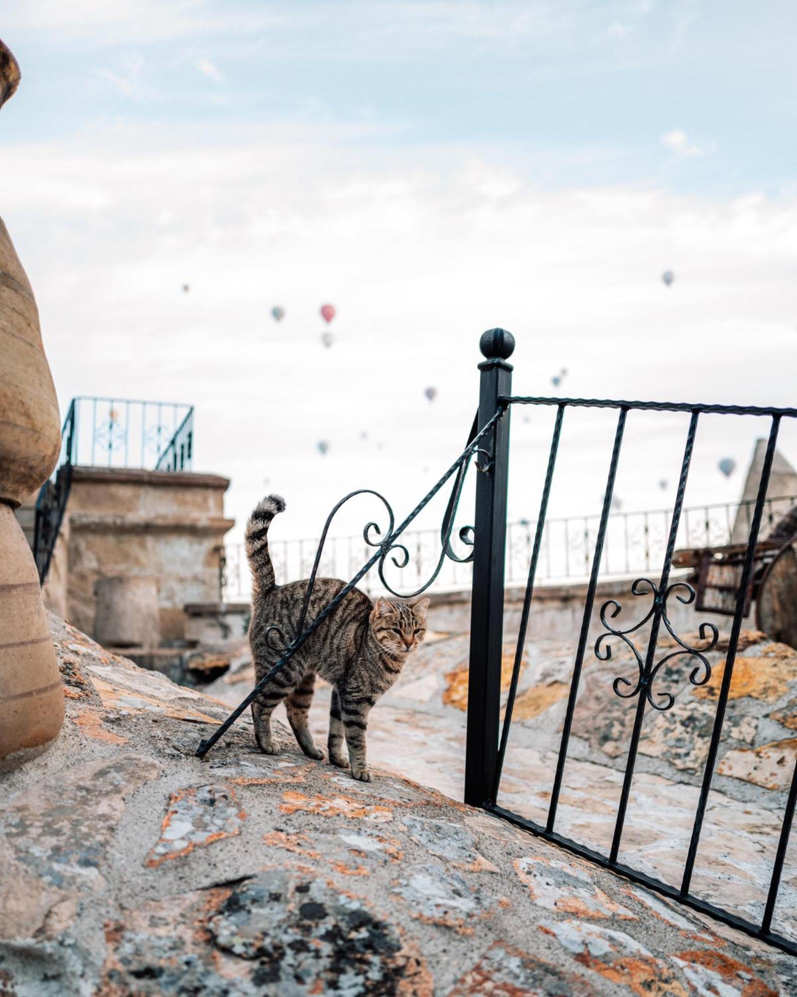 גורמה Cappadocia Cave Suites Adult Only מראה חיצוני תמונה